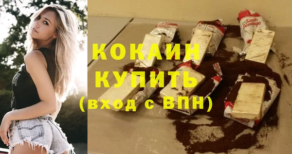 шишки Аркадак