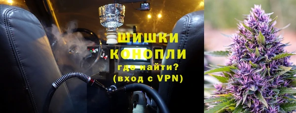 шишки Аркадак