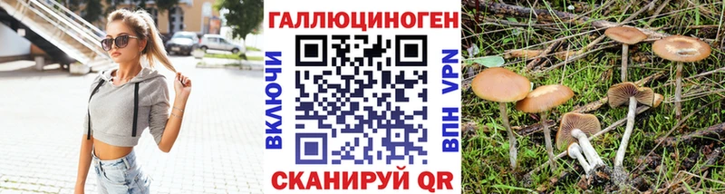Псилоцибиновые грибы ЛСД  кракен сайт  Мыски  сколько стоит 
